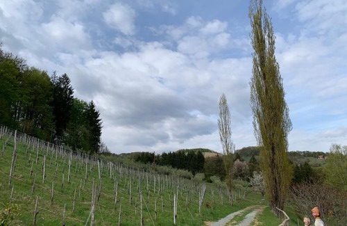 Fresing Hotel | Pet-Friendly Koschak Wirt & Weinbauer with Breakfast Included