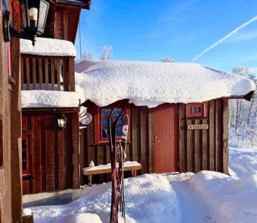 Al Municipality House | Inviting Family Cabin in Beautiful Dagali Near Geilo