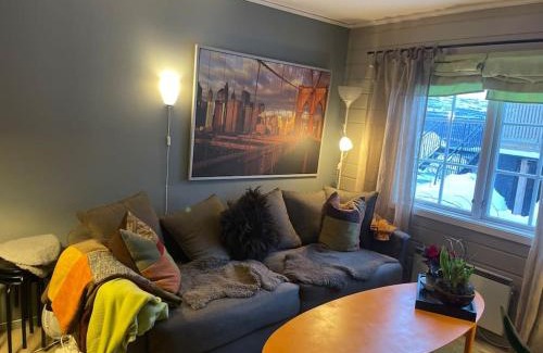 Oppdal Apartment | Cozy Apartment with Parking and Ski In & Out Access