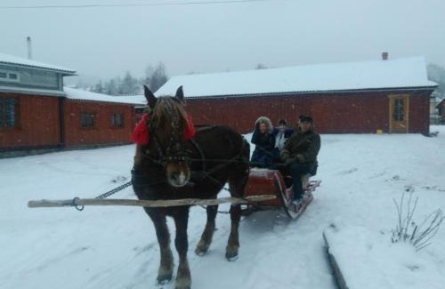 Kosmach House | Discover Kosmatska Pusanka: Family-Friendly & Pet Welcome