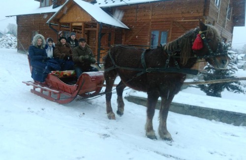 Kosmach House | Discover Kosmatska Pusanka: Family-Friendly & Pet Welcome