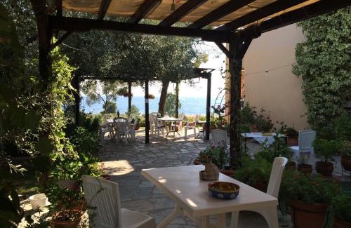 Gerakini Apartment | Cozy Kostas House: Oceanfront Escape with Pet-Friendly Perks