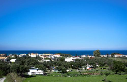 Argassi Apartment | Experience Kotrona Farmhouse - Top Rated in Argassi Zakynthos
