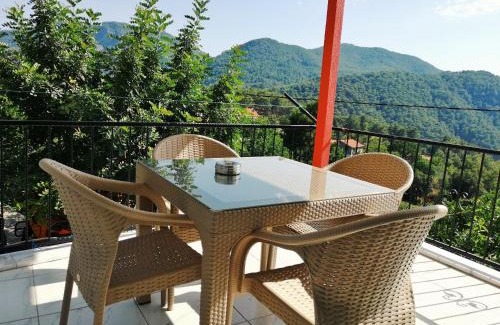 Dalyan House | Kozalak Evleri