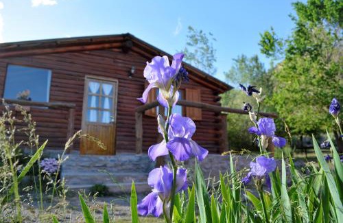 Las Vegas Cabin | Pet-Friendly Kpriccio Cabanas: Guest Rated 9.7/10