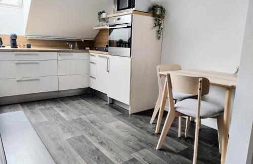 Usti nad Labem Apartment | Experience Podkroví na Králově Výšině - Rated 9.6/10
