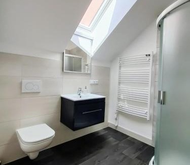 Usti nad Labem Apartment | Experience Podkroví na Králově Výšině - Rated 9.6/10