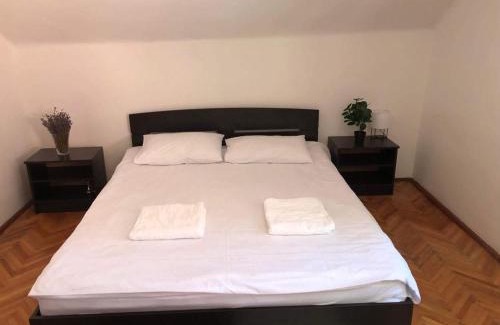Sovata House | Kral Villa