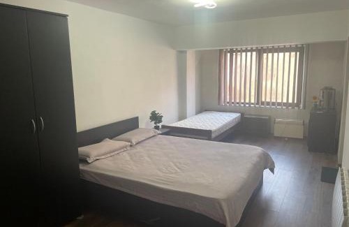 Sovata House | Kral Villa