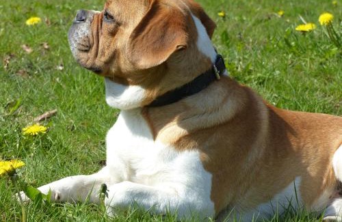 Tistrup House | Welcoming Kristiansminde Farm Holiday: Pet-Friendly Stay
