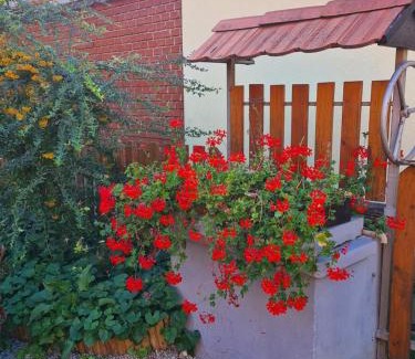 Balatongyorok Apartment | Explore Kriszta Apartman: Pet-Friendly & Spa Amenities