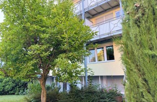 Bad Krozingen Apartment | Krozinger Gartenloft - Design Apartment