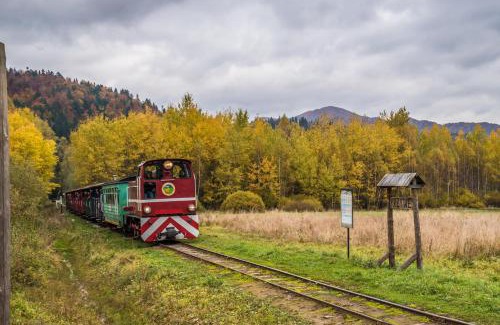 Cisna Cabin | Family-Friendly Stay at Krzywy Zakątek - 10/10 Rated
