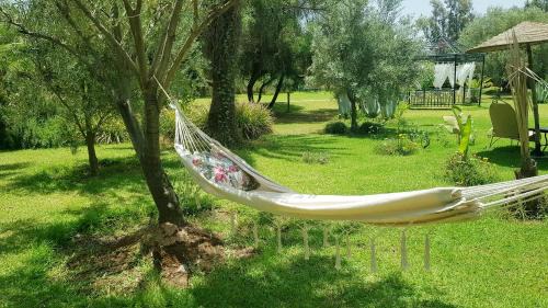 Tamazouzte House | Discover Ksar Salha: 4-Star Oasis with Oceanfront Pool