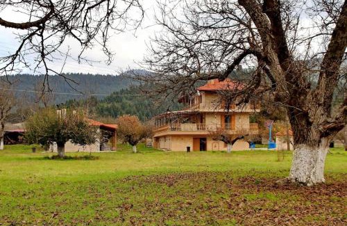 Karkalou Apartment | Guest Rated 10/10: Ktima Karadimou with Hot Tub Access
