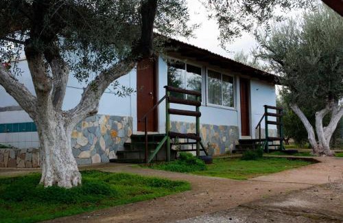 Velon House | Tranquil Ktima Paradise: Ocean View & Pet-Friendly Retreat