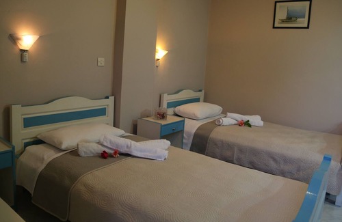 Petriti Apartment | Ktima Theofilos - Freideriki Studio Single bed