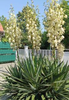 Slavonski Brod Apartment | Pet-Friendly Retreat at Kuća Barbara with Hot Tub Access