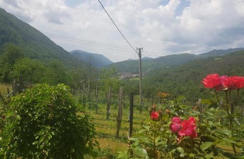 Perucac House | Kid-Friendly Retreat at Kuća za odmor Andrej - Rated 9.9