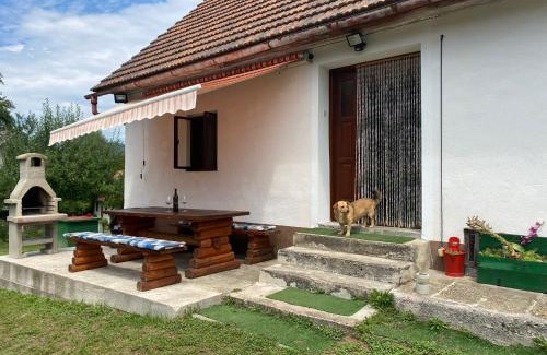 Skrad House | Beljan Retreat: Top-Rated Pet-Friendly Getaway