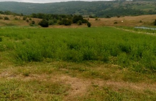 Brlog House | Pet-Friendly Kuća za odmor: Ideal Family Retreat Awaits