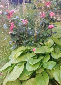 Mokra Gora House | Family-Friendly Getaway at Kuća za odmor Kalina