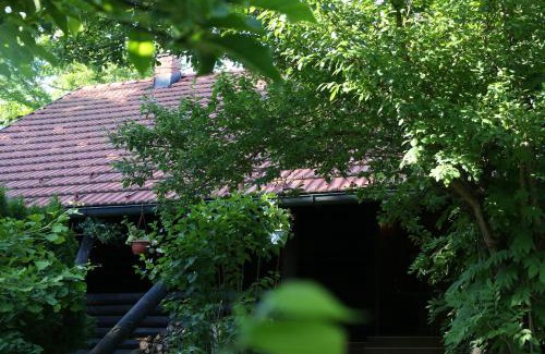 Netretic Ski Chalet | Pet-Friendly Getaway at Kuća za odmor MARA with Ocean Views