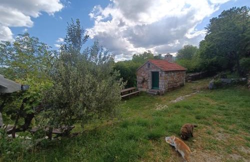 Citluk House | Discover Family-Friendly Retreat at Kuća za odmor Milica