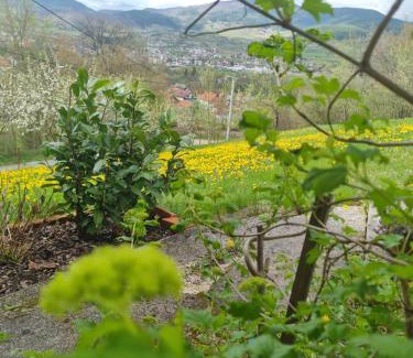 Republika Srpska Apartment | Family-Friendly Retreat at Kuća za Odmor Naša Priča