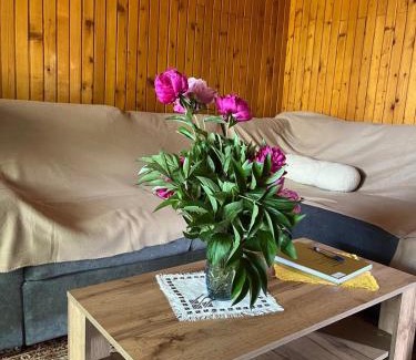Gornja Stubica House | Relax at Rukova Hiža: Pet-Friendly Retreat with Ocean Views