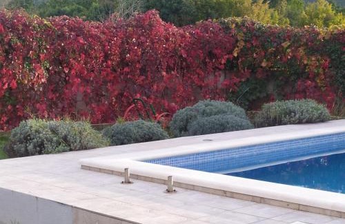 Dicmo Villa | Relax at Kuća za odmor Silvano with Oceanfront Pool