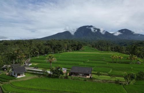 Penebel House | Guest Rated 10/10 KUBU D'UME HOMESTAY with Hot Tub