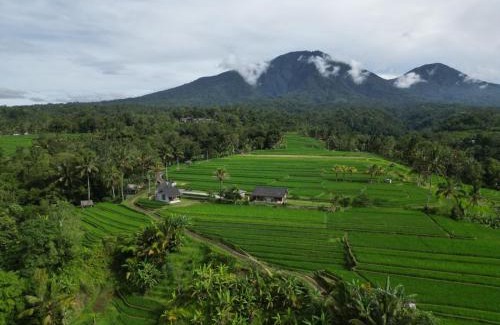 Penebel House | Guest Rated 10/10 KUBU D'UME HOMESTAY with Hot Tub