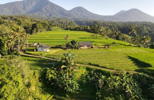 Penebel House | Guest Rated 10/10 KUBU D'UME HOMESTAY with Hot Tub