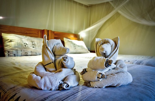 Thorny Bush Game Reserve Cabin | Escape to Kubu Safari Lodge with Pool and Spa Amenities