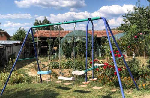 Despotovac Apartment | Discover Kuca za odmor Davidovic: Pet-Friendly Retreat