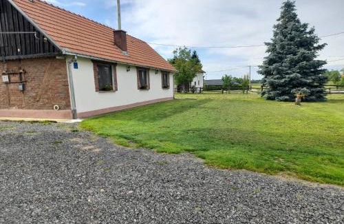 Sveti Ivan Zabno House | Pet-Friendly Retreat at Kuca za odmor Noel for Families