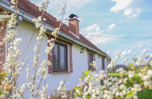 Sveti Ivan Zabno House | Pet-Friendly Retreat at Kuca za odmor Noel for Families