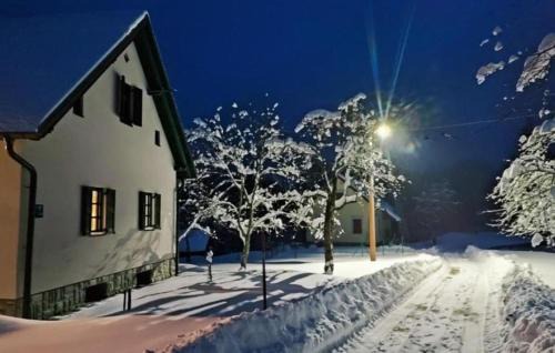 Brod Moravice Villa | Kuca za odmor ZORA by Villas Guide
