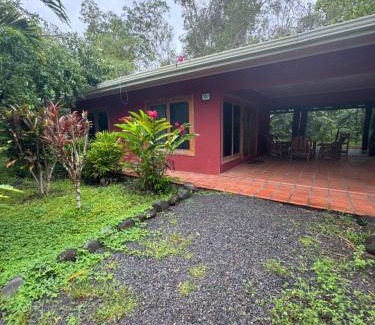 El Jobo House | Unforgettable Royal Palm Retreat with Oceanfront Views