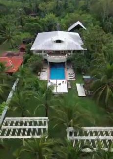 El Jobo House | Unforgettable Royal Palm Retreat with Oceanfront Views