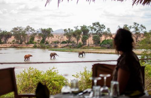 Tsavo East Other | Discover Kudu Safari Camp: Family-Friendly with Pool Access