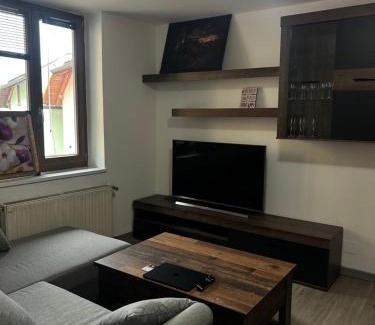 Fraviano Apartment | Relax at Kuky's Val di Sole Retreat: Family & Pet Friendly!