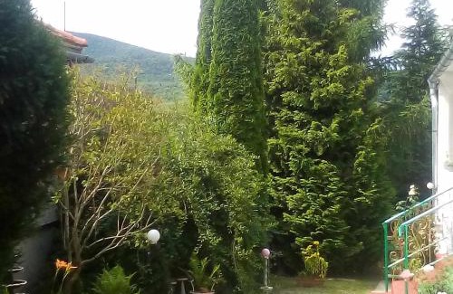 Hollohaza House | Top-Rated Kulcsosház Vendégház for Your Next Getaway