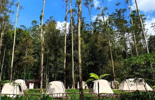 Rancabali Other | Kuleum Camp And Cabin By ARBA