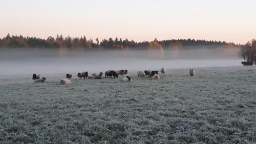 Lidkoping Bed & Breakfast | Inviting Kullens Bed and Breakfast with Hot Tub & Kitchen