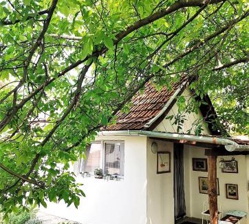 Ketegyhaza House | Experience KultúrÉlet Vendégháza: 9.5/10 Rating & Ocean View