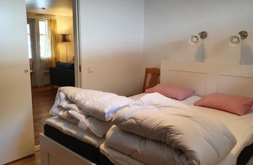 Saxnas Apartment | Pet-Friendly Retreat at Kultsjögården in Saxnäs