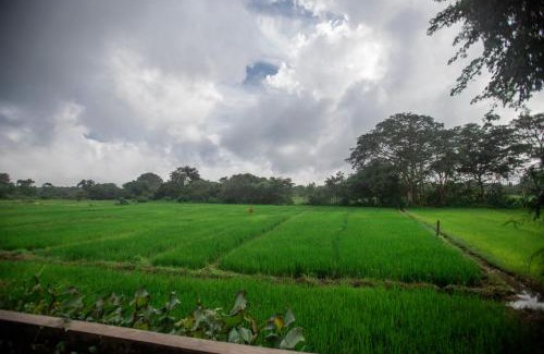 Kimbissa House | Pet-Friendly Retreat at Peacock House Sigiriya