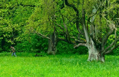 Reinhardsbrunn House | Kunstpark Reinhardsbrunn: Guest Rated 9.2/10 Retreat